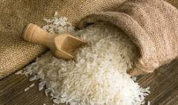 Pristine Raw Grains Selection